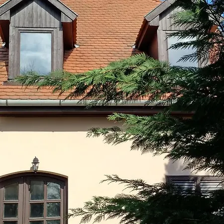 Gasthof Jancsi Es Juliska Vendeghaza Balatonszarszo